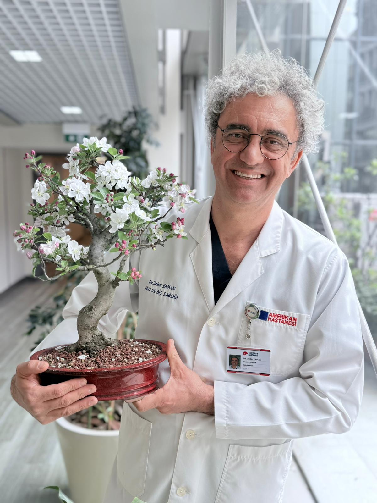 Akçaağaç Bonsai
