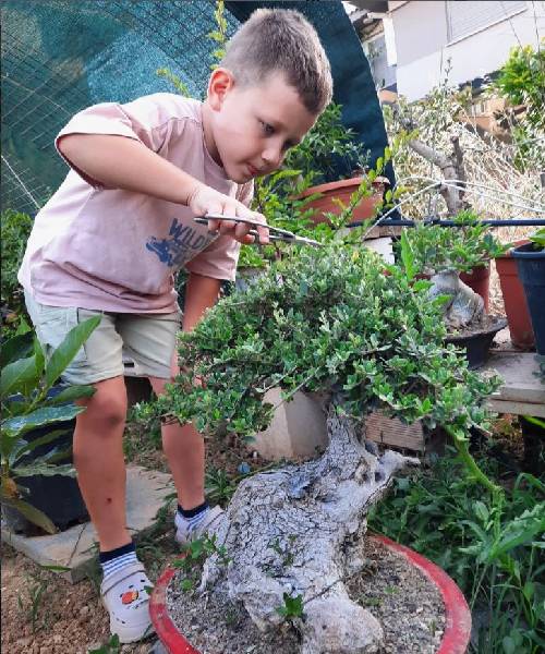 Topluluk ve Paylaşım