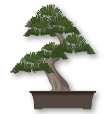 Informal Upright Bonsai