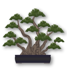 Kabudachi Bonsai Tarzı