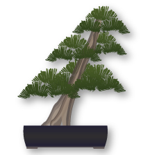 Slanting Bonsai